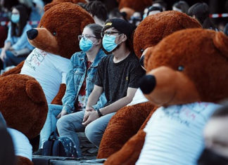 Debut emoționant: 30 de urși bruni, în public la deschiderea Astra Film Festival 2021