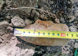 Elemente de muniție descoperite de un cetățean în Tropinii Noi