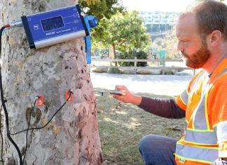 Primăria Sibiu cumpără tomograf pentru copaci cu 134.000 lei