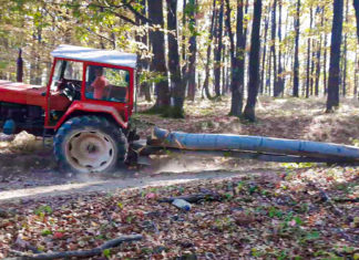 Infracțiuni la regimul silvic și rutier, prevenite de polițiștii sibieni