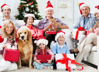 Recomandările polițiștilor sibieni pentru sărbători în siguranță