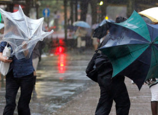 Alertă meteo: cod galben de vânt în județul Sibiu! Rafalele vor depăși 65 km pe oră