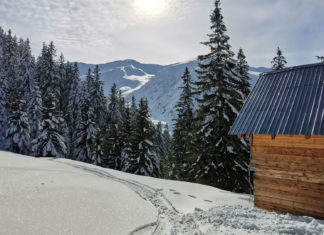 Doi schiori surprinși de avalanșă în zona Cabanei Negoiu