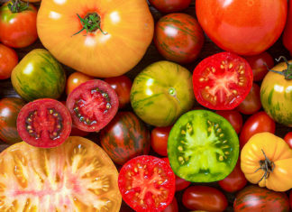 Muzeul Astra din Sibiu organizează Festivalul Tomatelor, sub forma unui târg de semințe care sunt dăruite gratuit