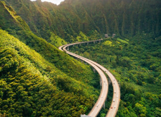 Directorul Direcției Silvice Sibiu: Pe tronsonul 2 din Autostrada Sibiu-Pitești vor fi exploatate 30 de hectare de pădure