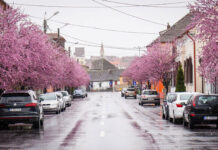 Taxe locale 2026: ce venituri estimează Primăria Sibiu și cum influențează rapoartele de evaluare nivelul impozitelor