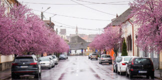 Taxe locale 2026: ce venituri estimează Primăria Sibiu și cum influențează rapoartele de evaluare nivelul impozitelor