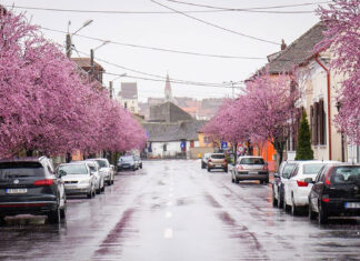 Taxe locale 2026: ce venituri estimează Primăria Sibiu și cum influențează rapoartele de evaluare nivelul impozitelor