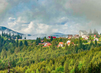 Spitalul Clinic de Psihiatrie ”Dr. Gheorghe Preda” Sibiu, partener în organizarea celei de a II-a ediții a Școlii de Vară de Psihopatologie de la Păltiniș