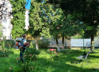 O nouă acțiune de dezinsecție în Sibiu