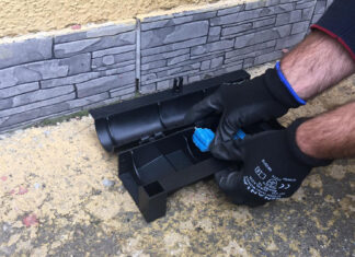 O nouă acțiune pe domeniul public pentru combaterea rozătoarelor, în perioada 9-10 august