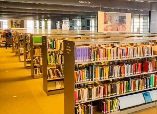 Bibliotecile din România, în colaps: sute de unități închise și fonduri de carte în declin