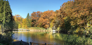 Vizitarea rezervațiilor naturale din Moldova începe cu serviciile de chirie auto de la Justrent