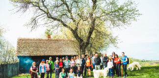 Drumeții cu gust tradițional: experiențe culinare și peisaje spectaculoase în Mărginimea Sibiului