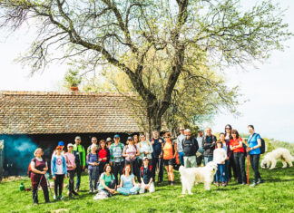Drumeții cu gust tradițional: experiențe culinare și peisaje spectaculoase în Mărginimea Sibiului